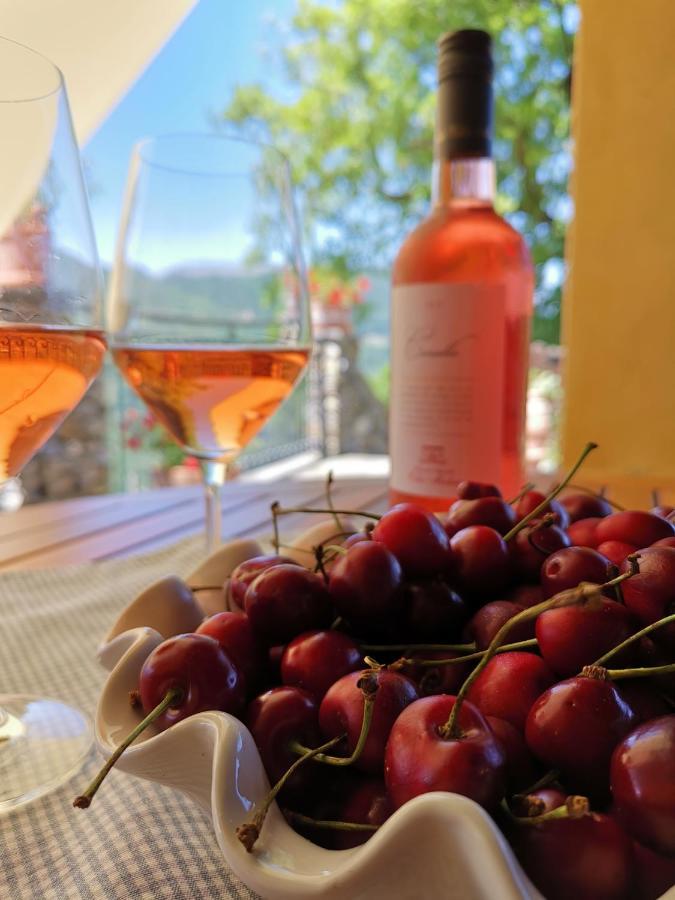 Bed and Breakfast Elsa House Mezzanego Экстерьер фото