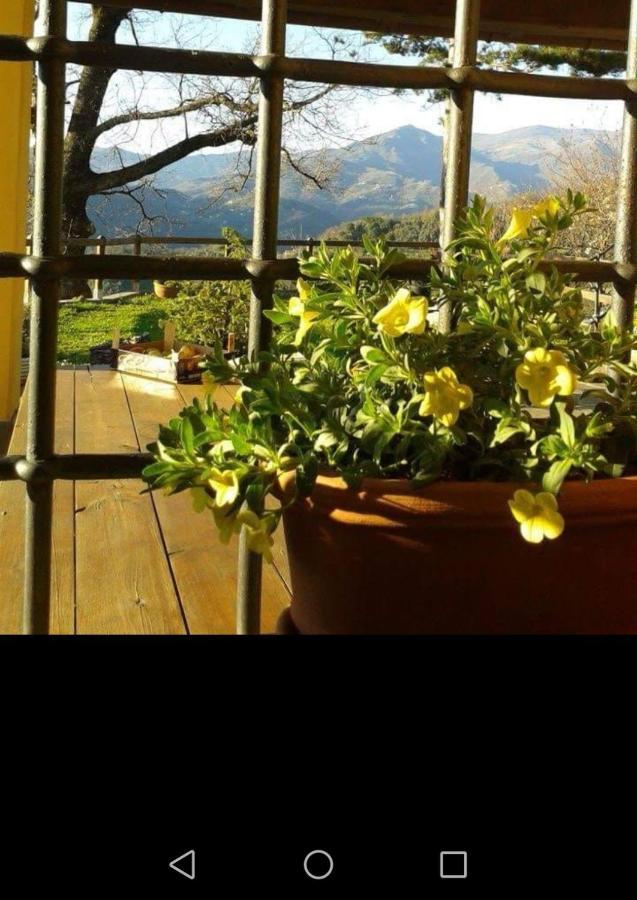 Bed and Breakfast Elsa House Mezzanego Экстерьер фото