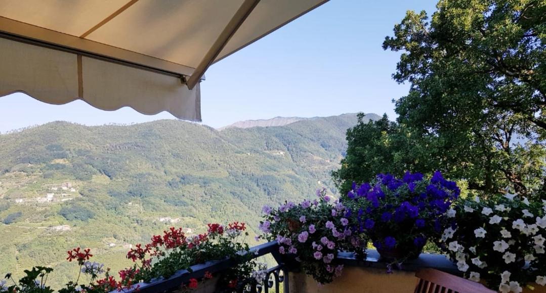 Bed and Breakfast Elsa House Mezzanego Экстерьер фото