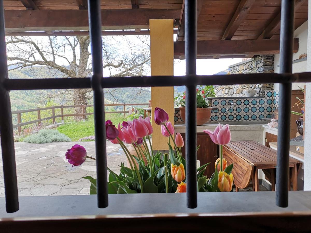 Bed and Breakfast Elsa House Mezzanego Экстерьер фото