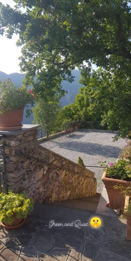 Bed and Breakfast Elsa House Mezzanego Экстерьер фото