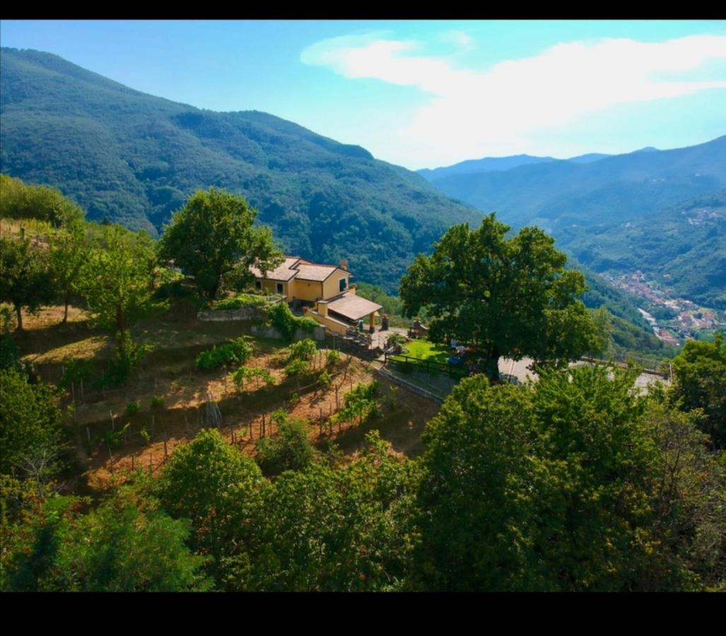Bed and Breakfast Elsa House Mezzanego Экстерьер фото